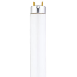 Fluorescent Bulbs
